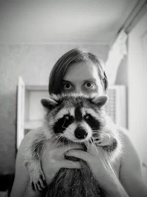 Владимир Калиманов