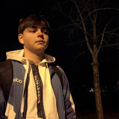Владислав Лимушкин