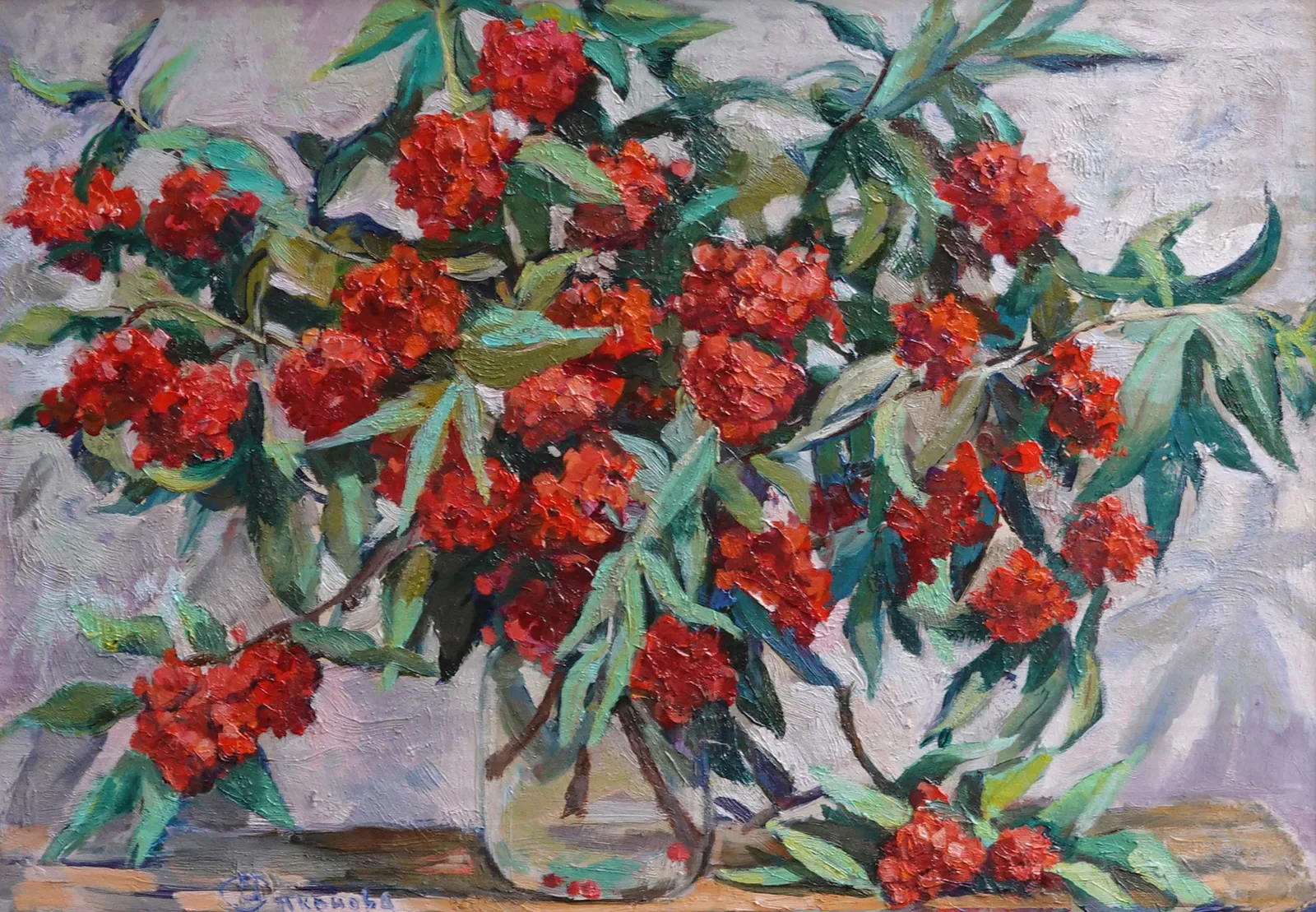 Ветки бузины
