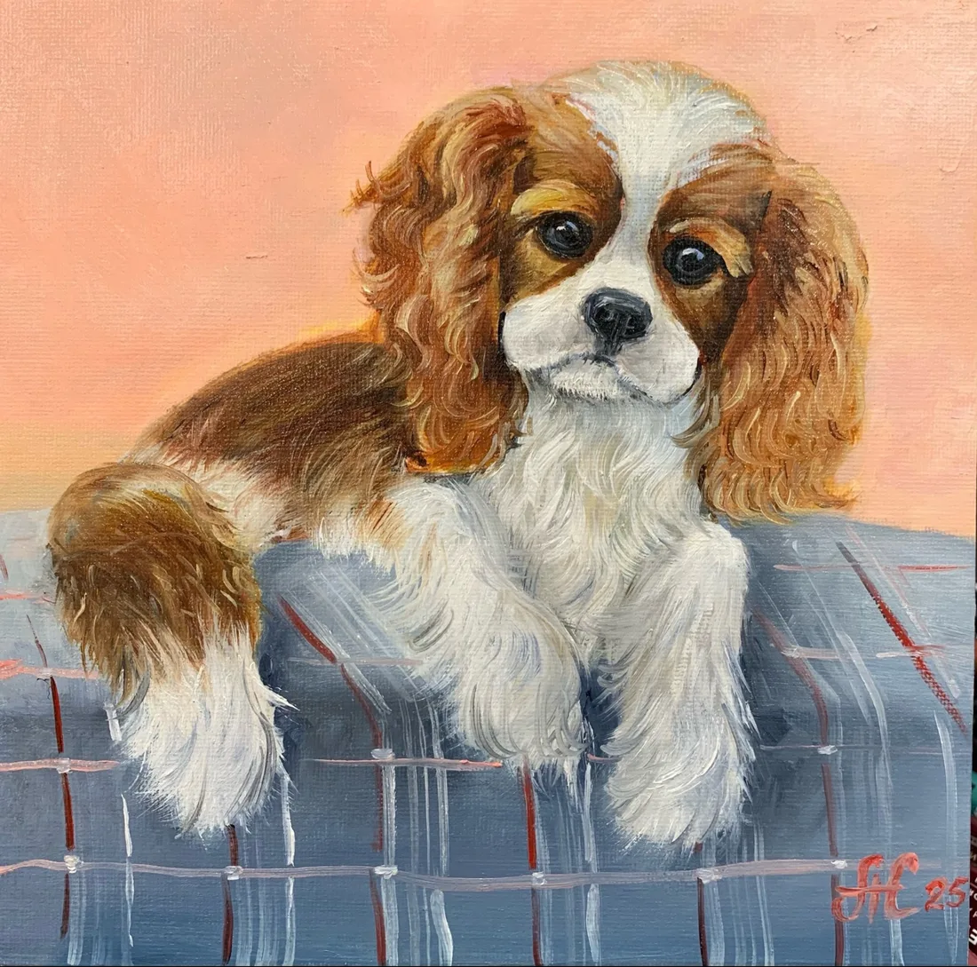 Картина «"Милашка"» — Алёна Скипина, Анималистика, аукцион Artstore
