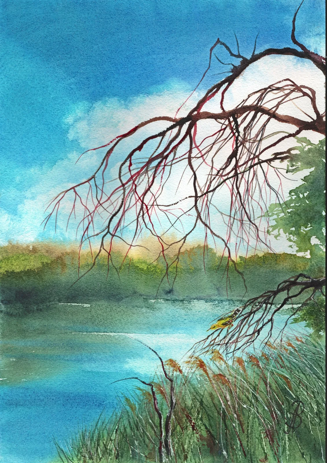 Картина «Иволга у реки» — Алла Валежина, Пейзаж, аукцион Artstore