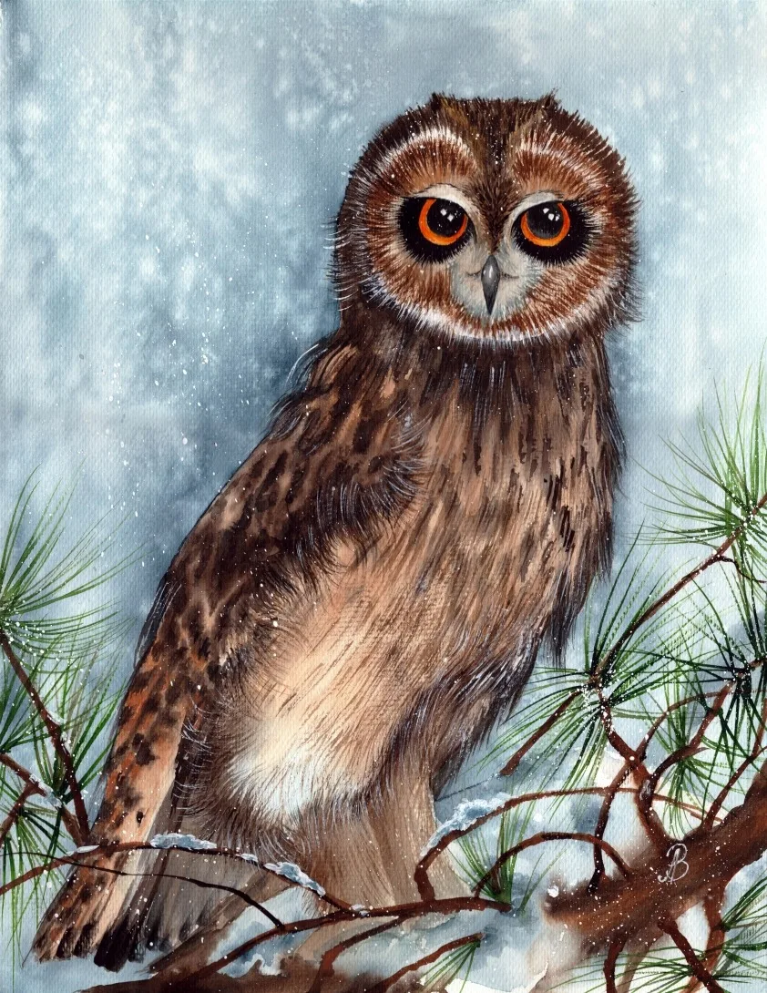 Картина «Большая сова» — Алла Валежина, Анималистика, аукцион Artstore