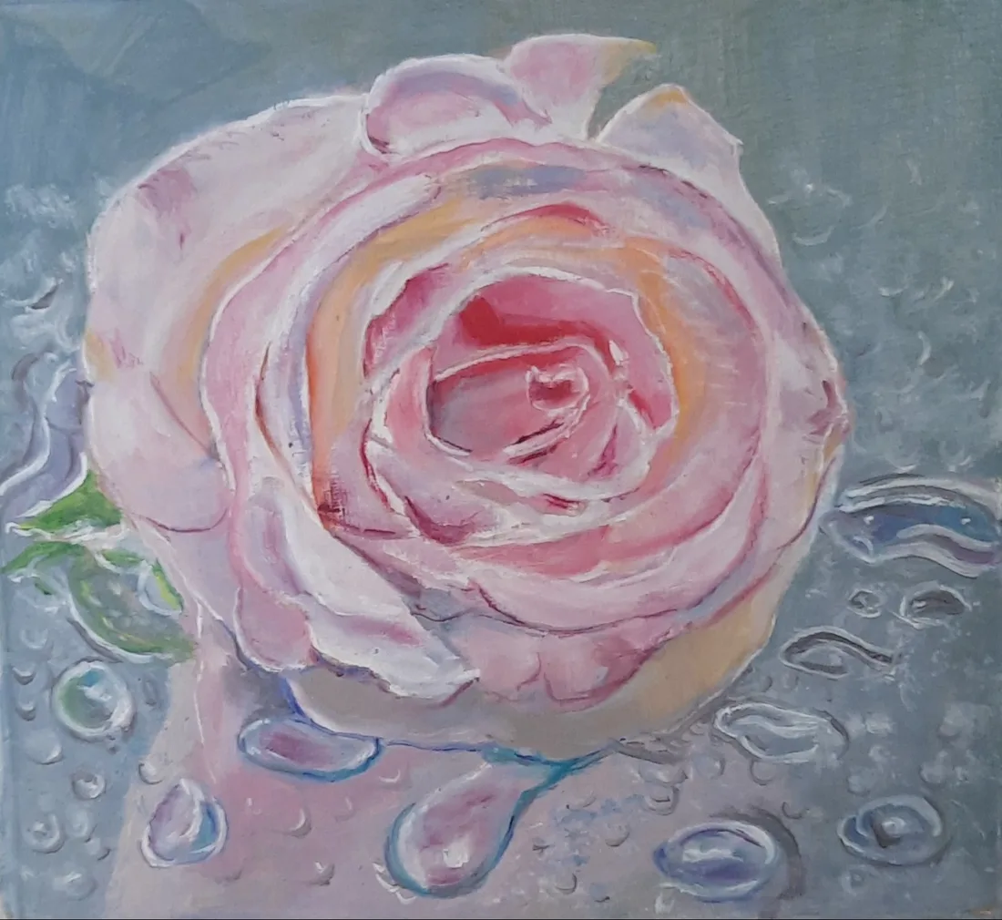 Роза в каплях воды.