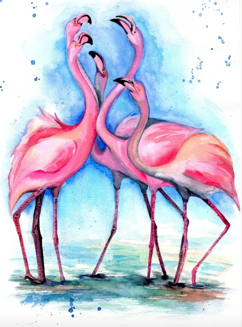 Фламинго