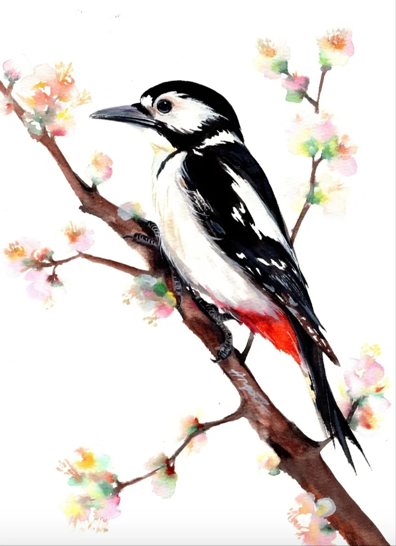 Картина «Дятел» — Анна Горынина, Анималистика, аукцион Artstore