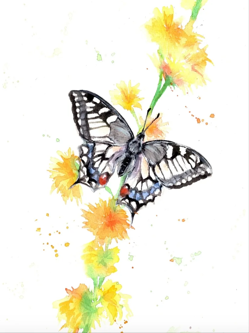 Картина «Махаон» — Анна Горынина, Анималистика, аукцион Artstore