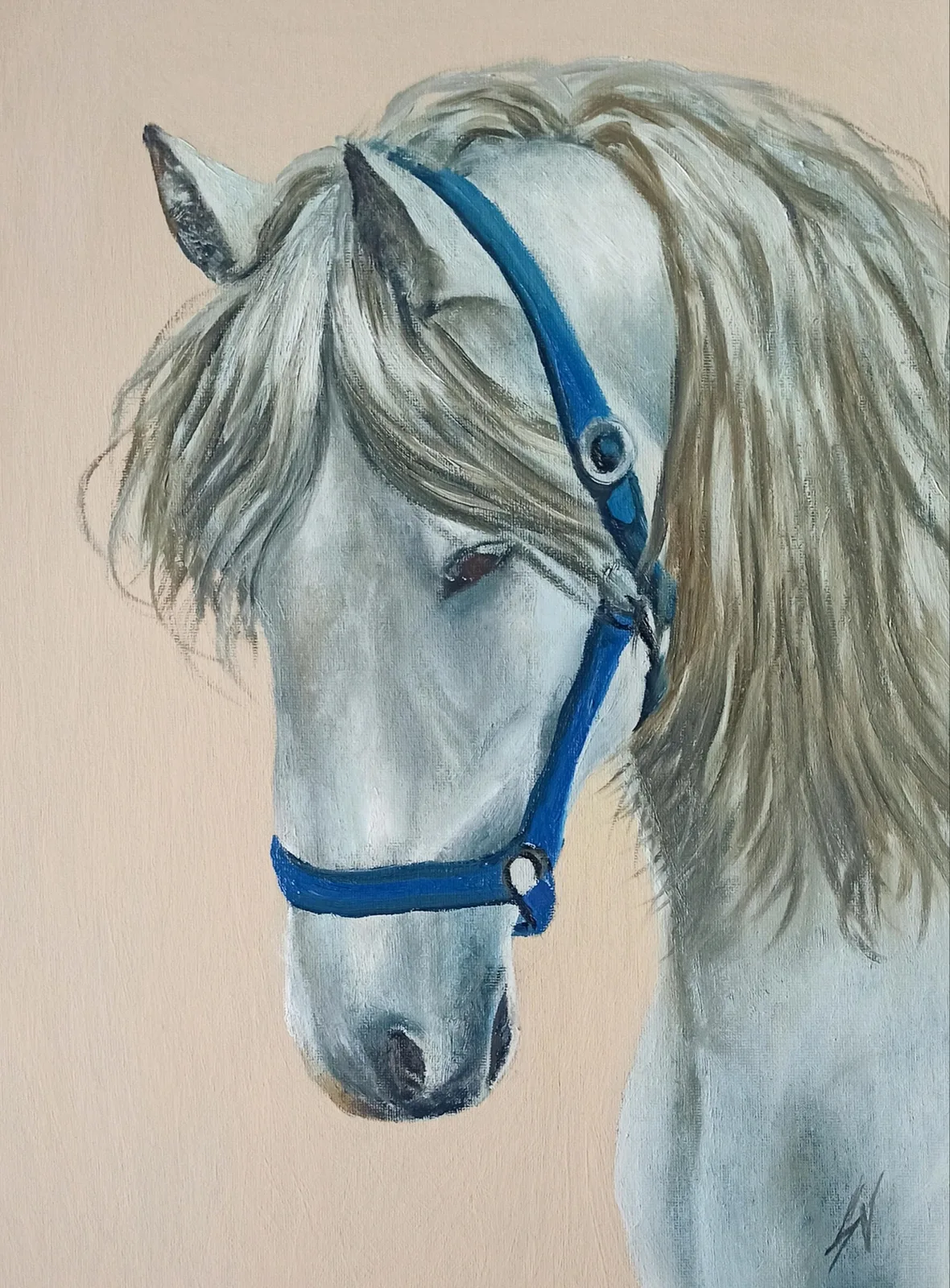 Картина «Белая лошадь» — Светлана Давыдова, Анималистика, аукцион Artstore