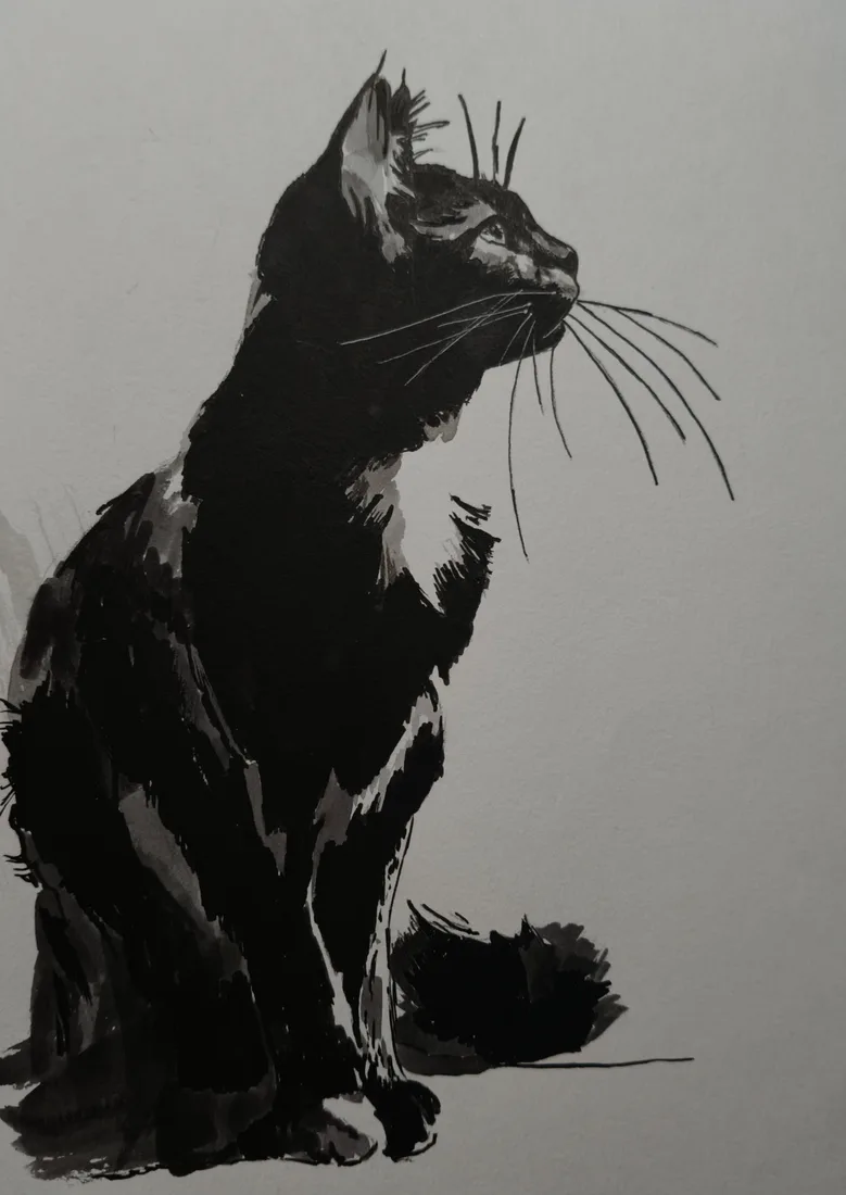 Картина «Чёрный кот» — Елена Новицкая, Анималистика, аукцион Artstore