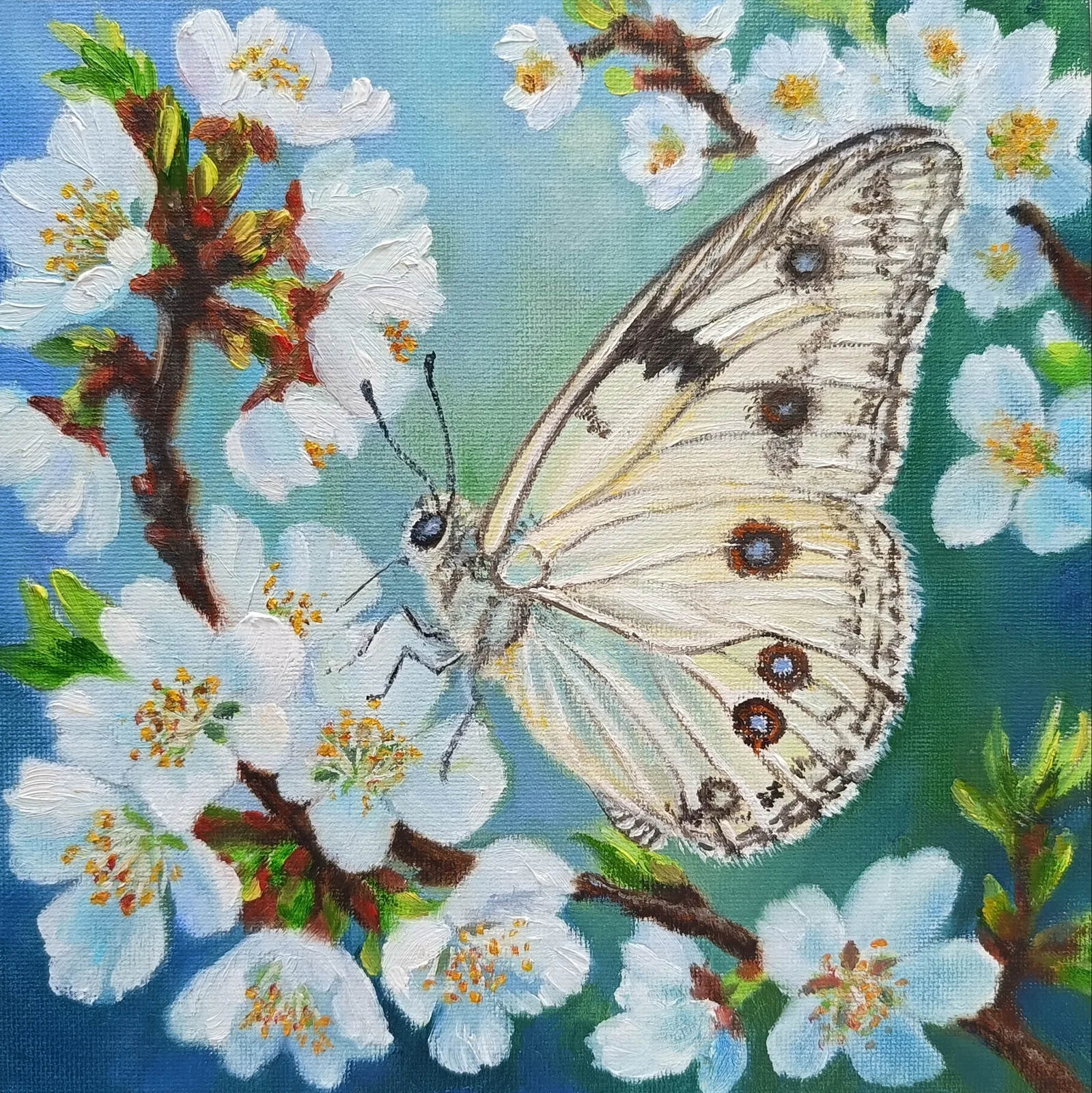 Картина «Бабочка на цветущей ветке» — Елена Пронина, Анималистика, аукцион Artstore