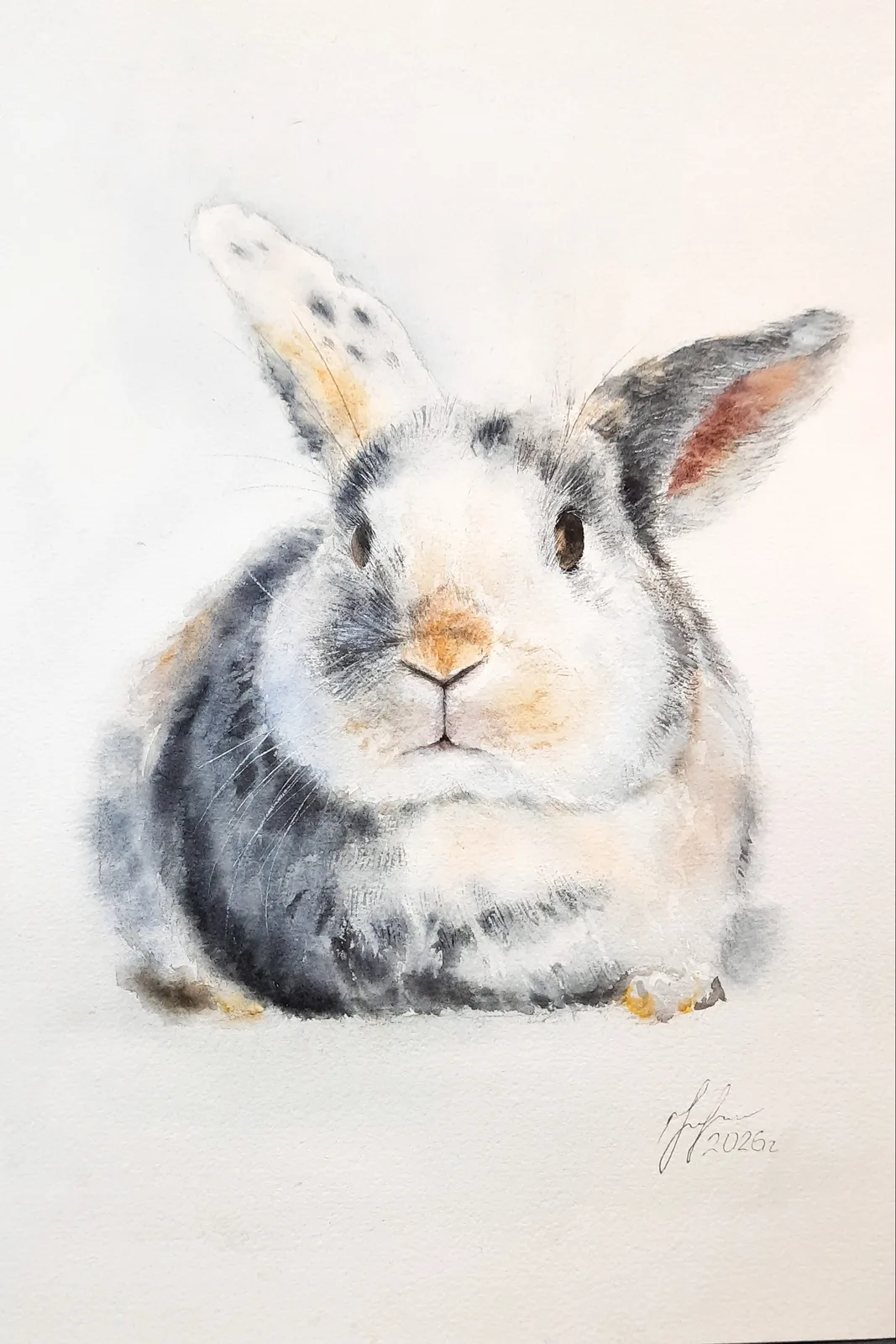 Картина «"Кролик"» — Юлия Уфимцева, Анималистика, аукцион Artstore