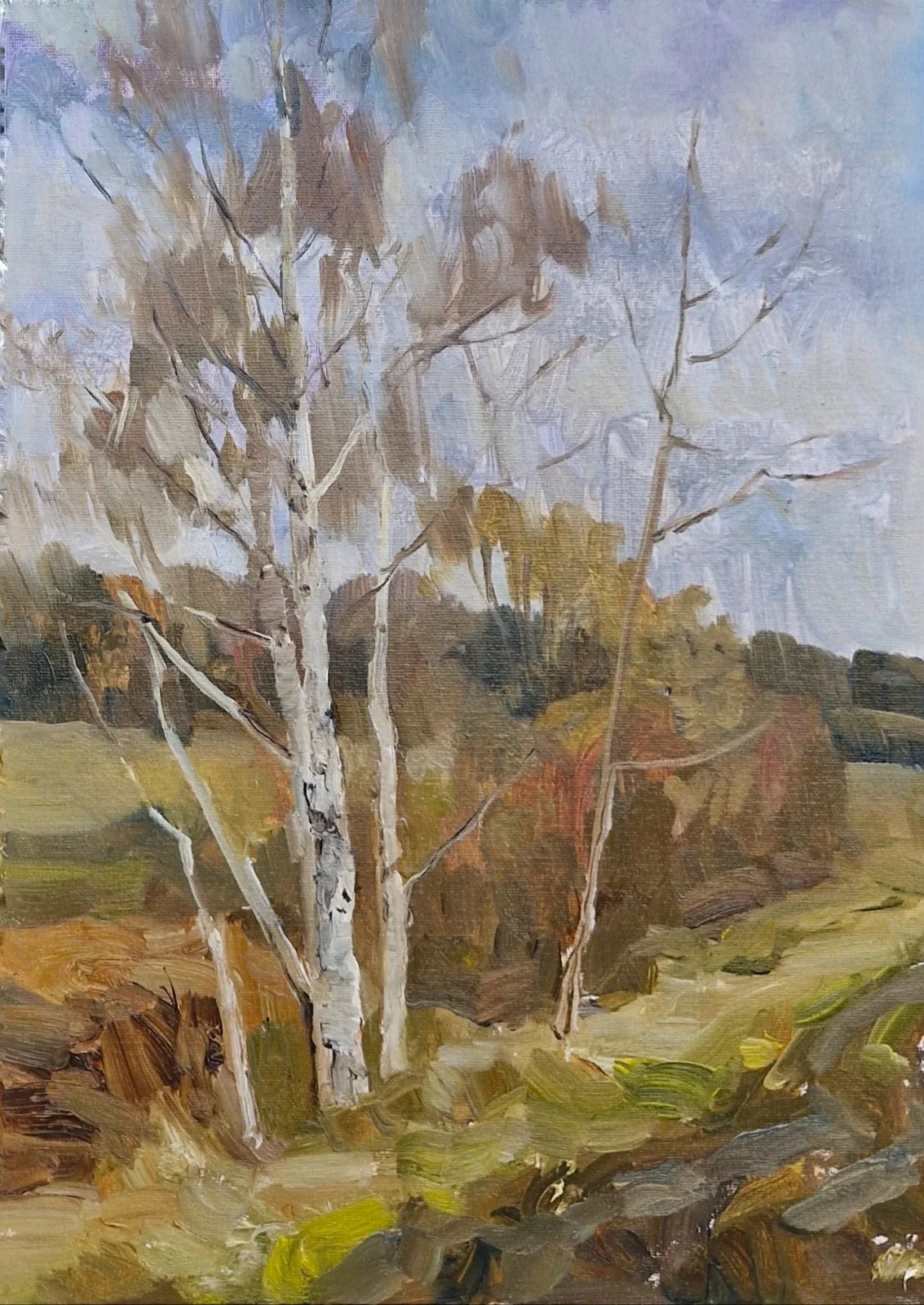 Картина «Этюд с берёзами» — Светлана Родионова, Пейзаж, аукцион Artstore