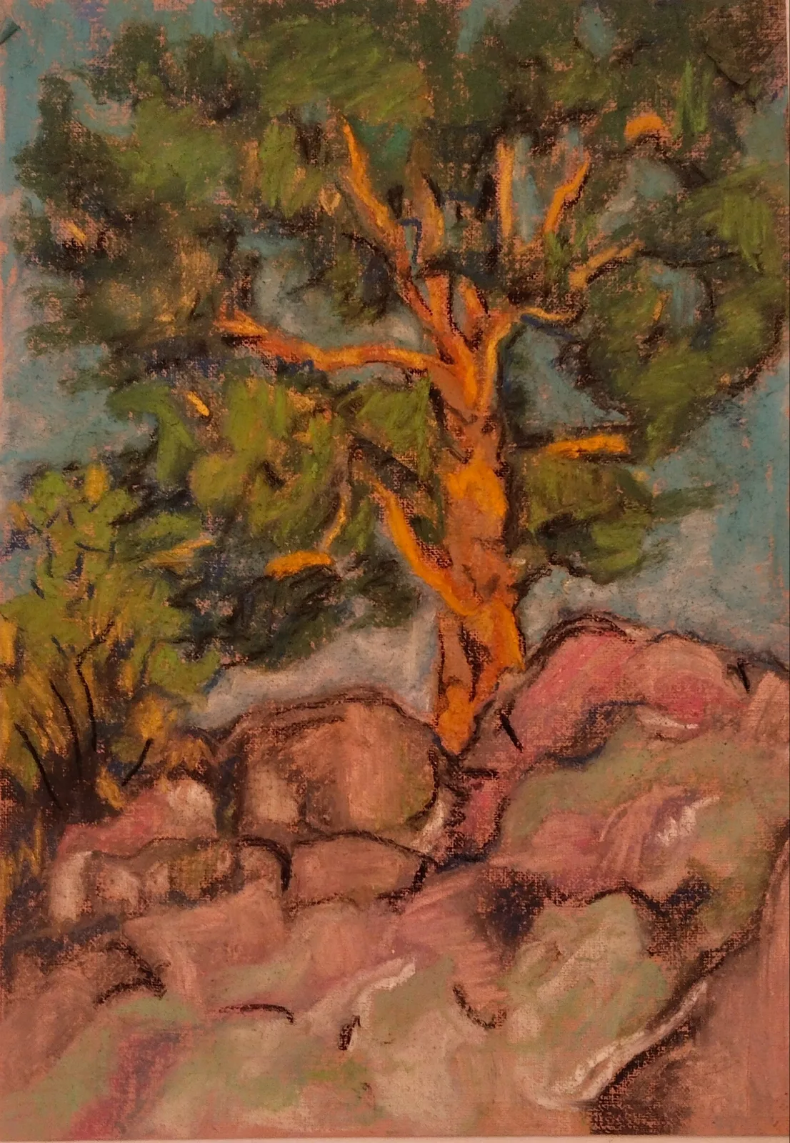 Сосна на камнях(Карелия)