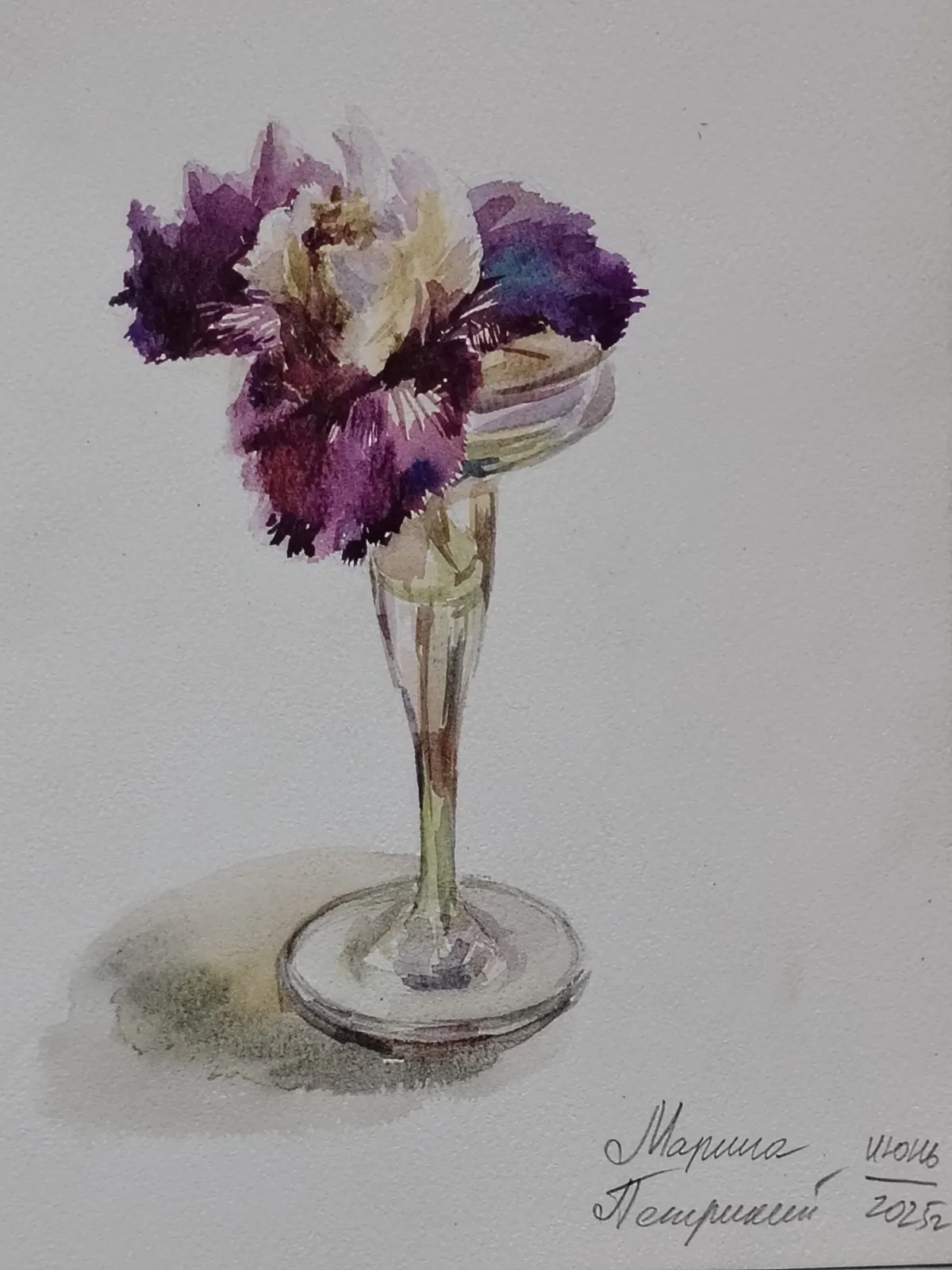 Картина «"Ирис"» — Марина Петрикий, Натюрморт, аукцион Artstore