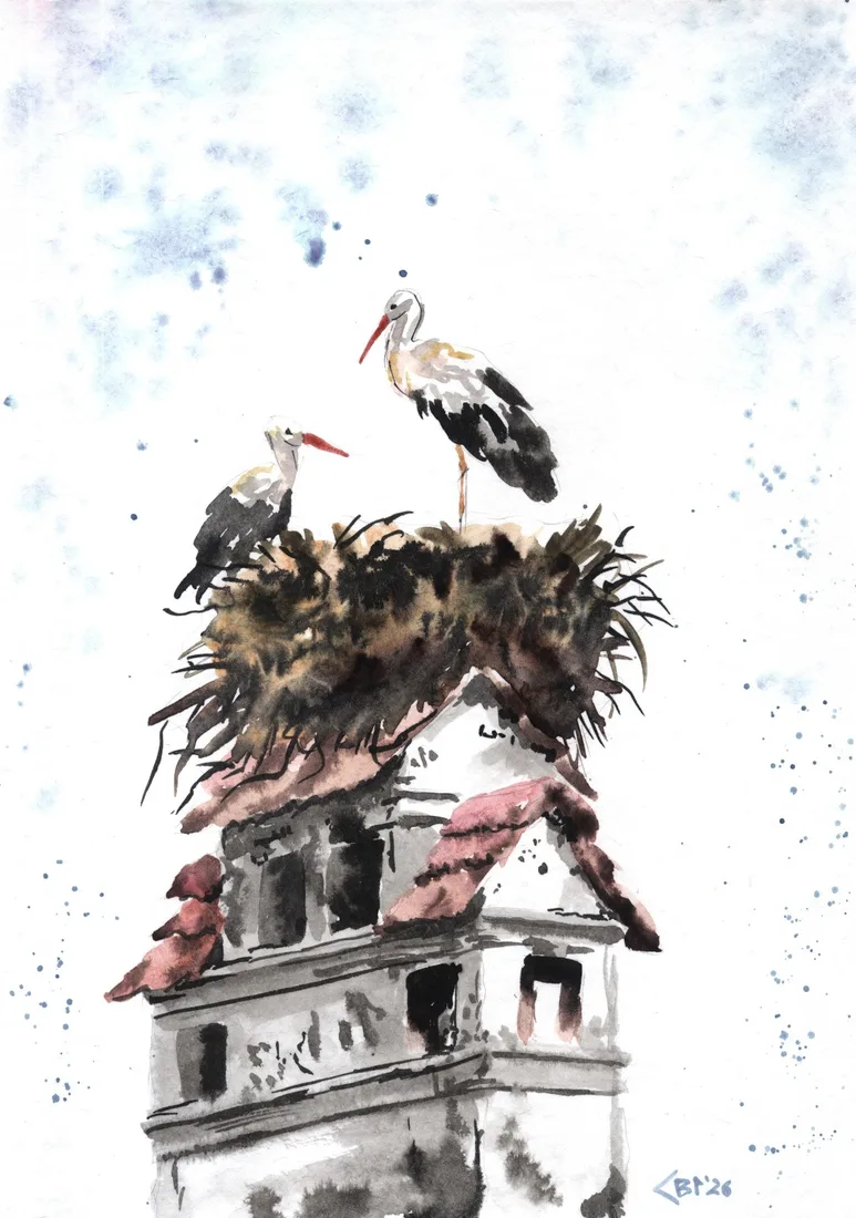 Картина «Аисты: вестники счастья» — Лера Дроздова, Анималистика, аукцион Artstore