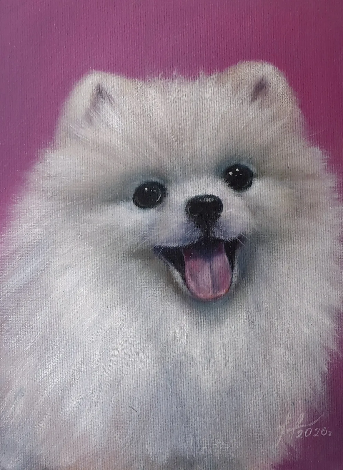 Картина «Шпиц» — Юлия Уфимцева, Анималистика, аукцион Artstore