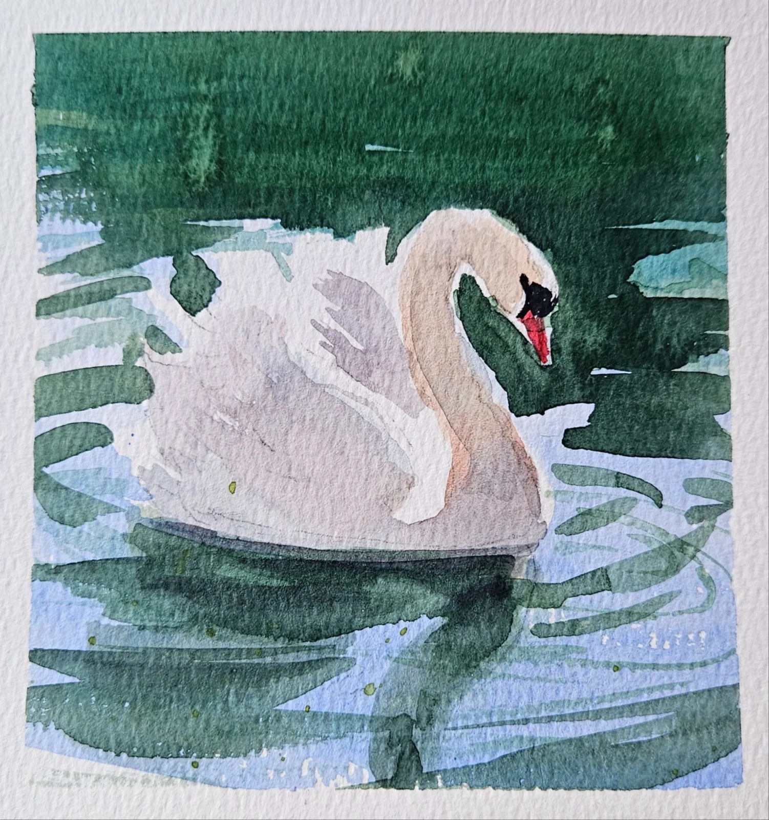 Картина «Лебединая нежность» — Ксения Ползикова, Анималистика, аукцион Artstore