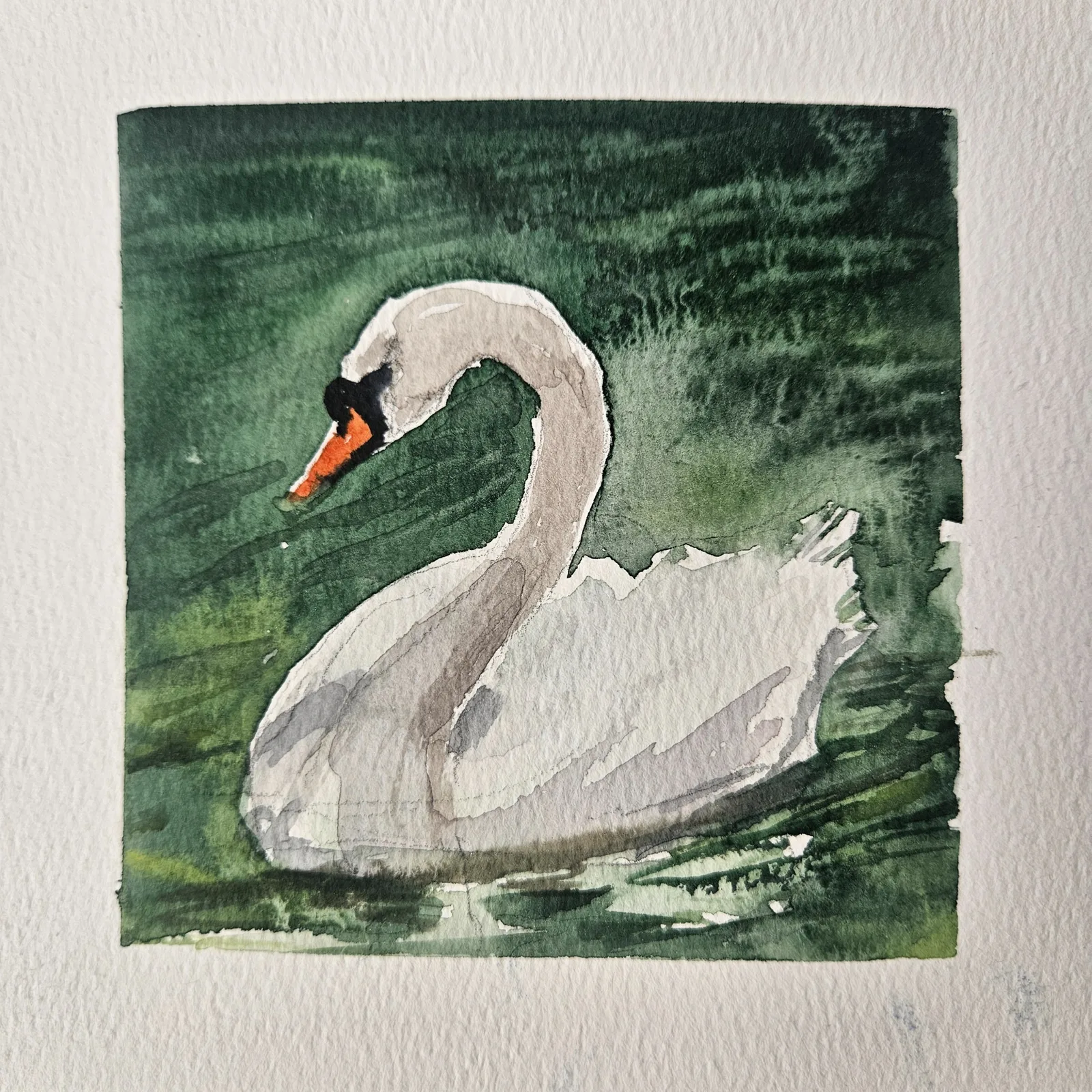 Картина «Лебединая нежнось 2» — Ксения Ползикова, Анималистика, аукцион Artstore