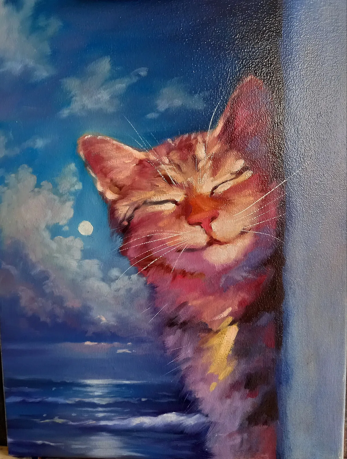 Счастливый анапский кот