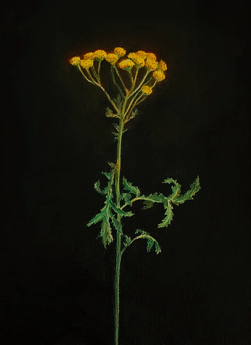 Картина «"Пижма "» — Ксения Бескоровайная, Пейзаж, аукцион Artstore