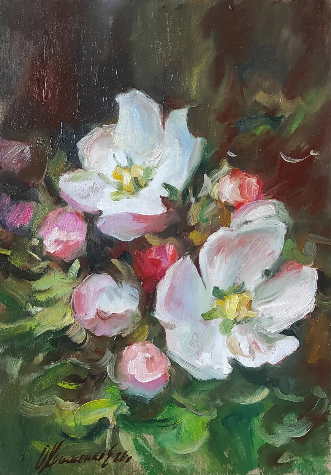 Работа Екатерина Охрименко