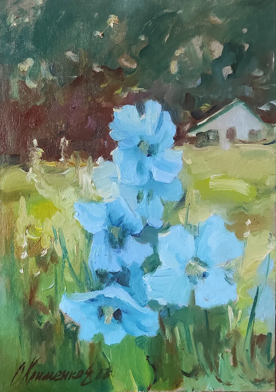 Голубой мак