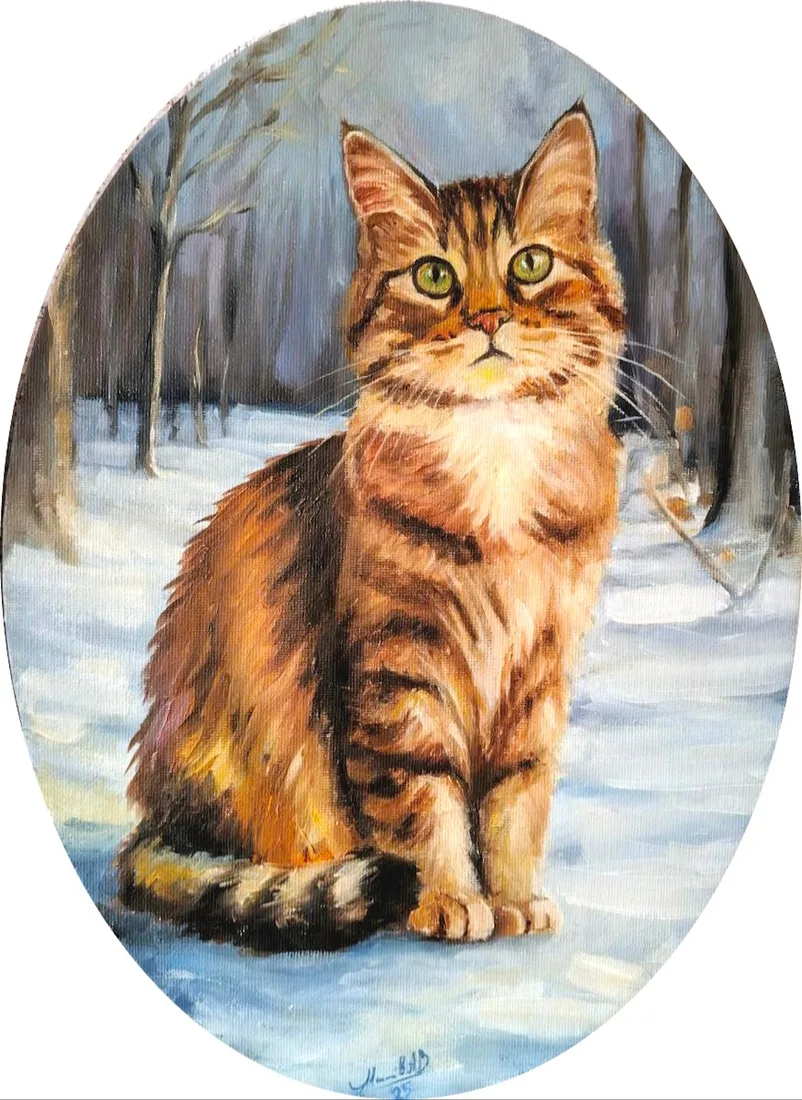 Кот