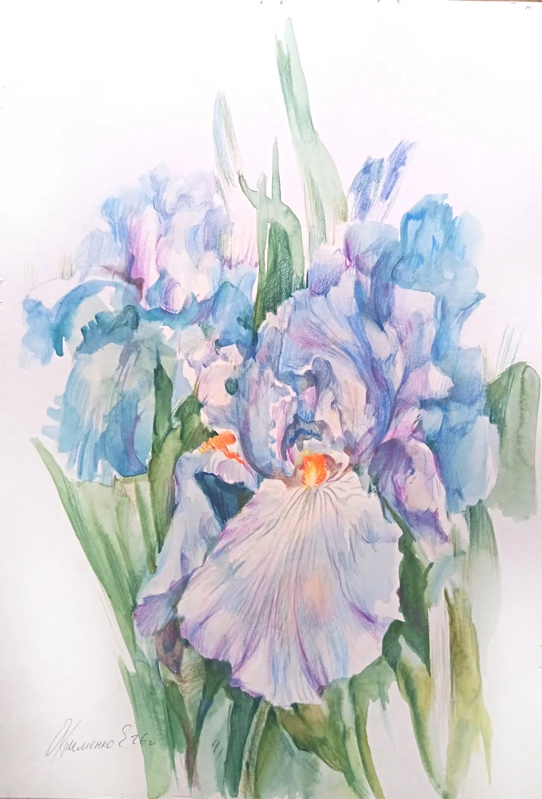 Картина «Голубые ирисы» — Екатерина Охрименко, Натюрморт, аукцион Artstore