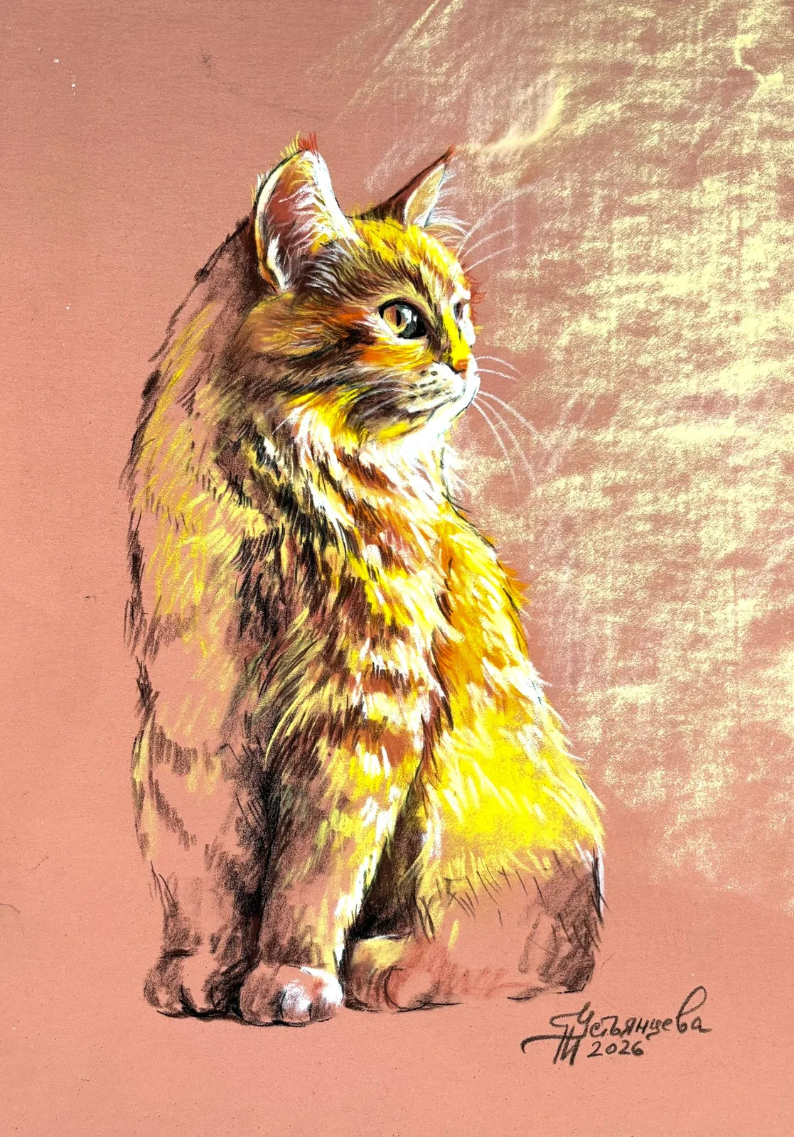 Котик
