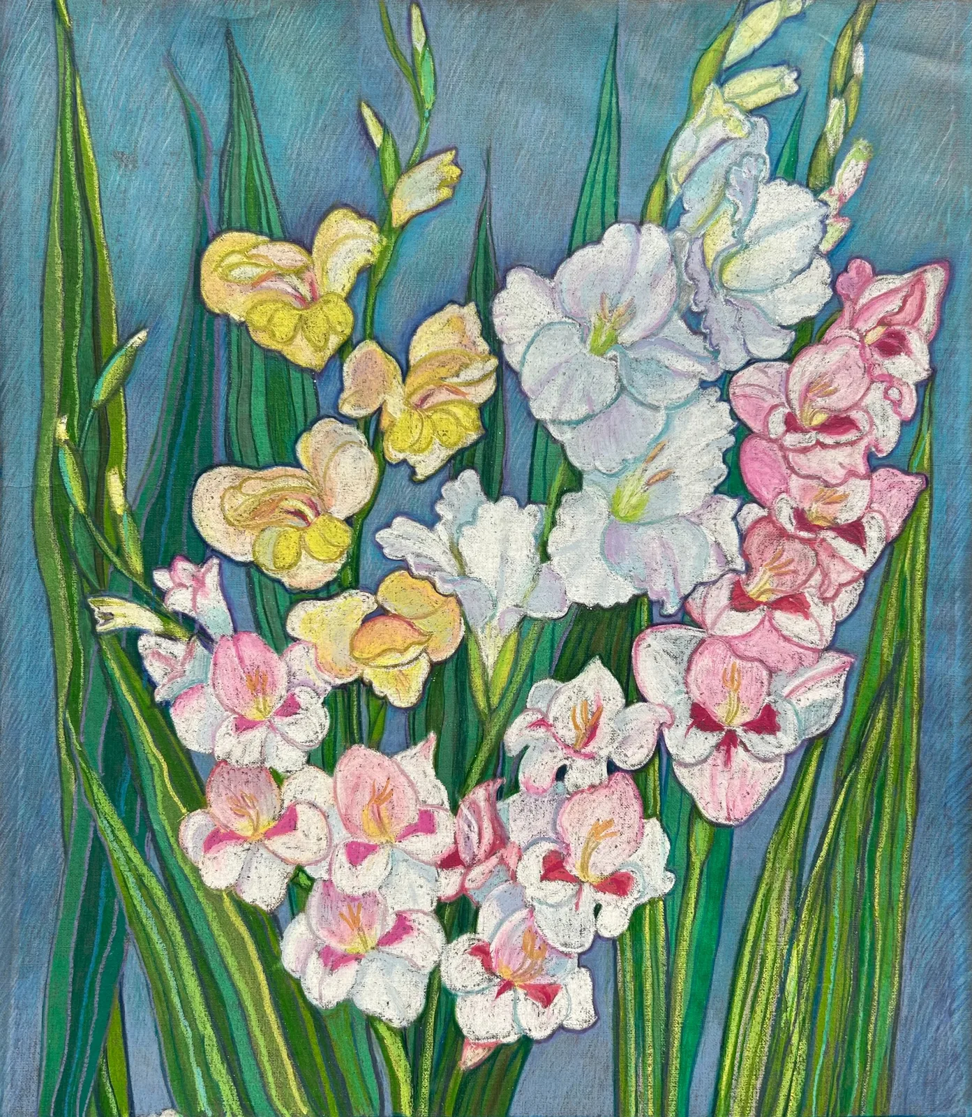 Гладиолусы