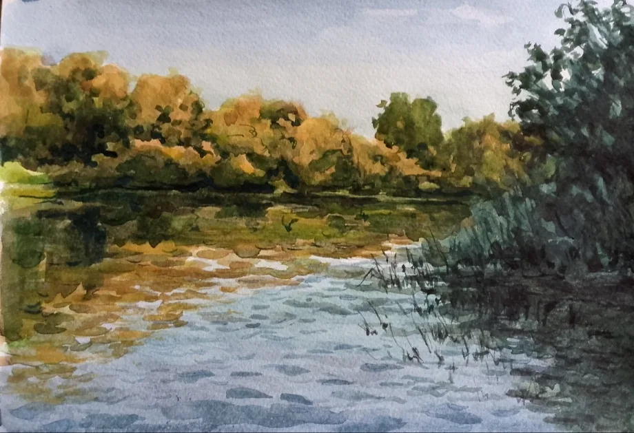 Речка летом