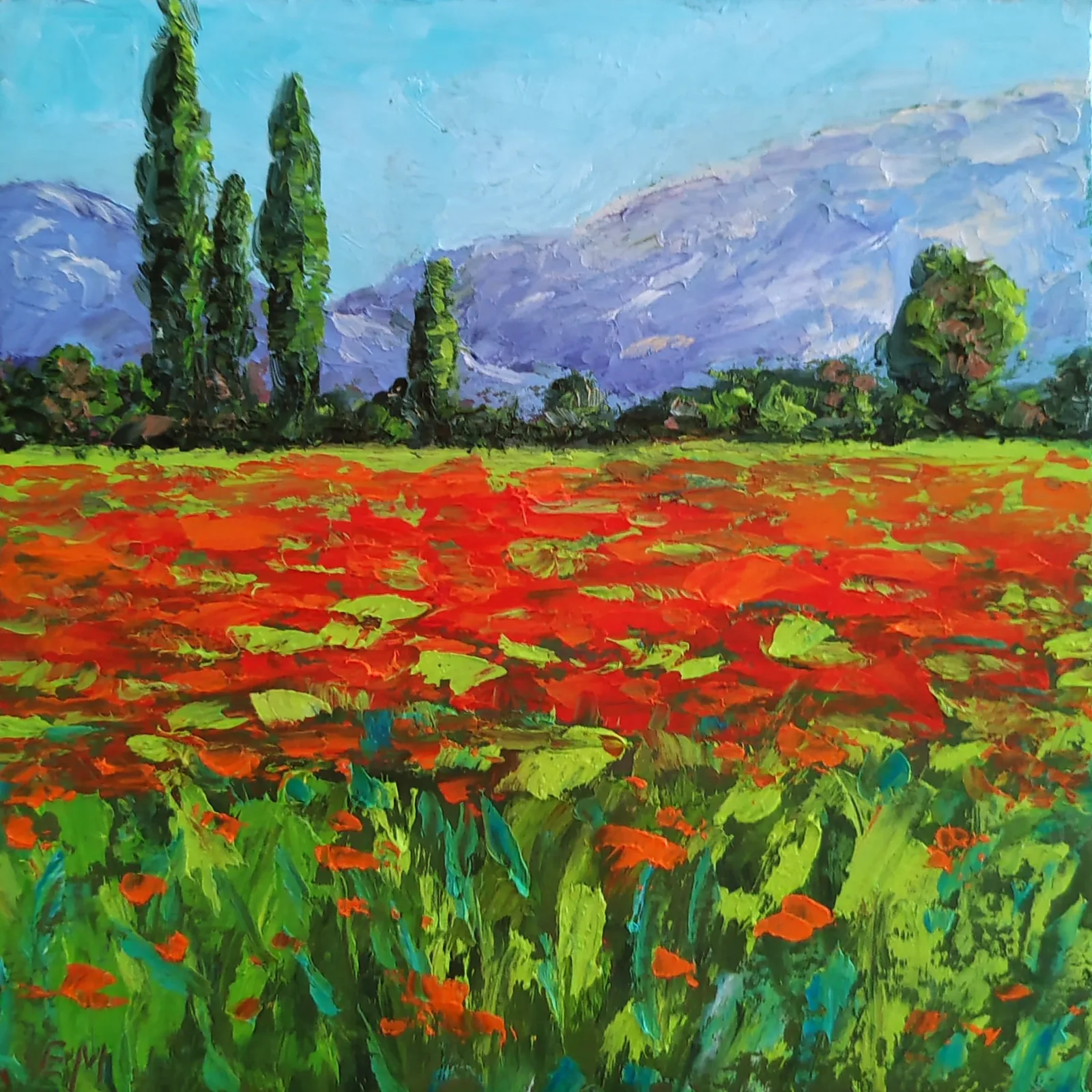 Маки в Крыму