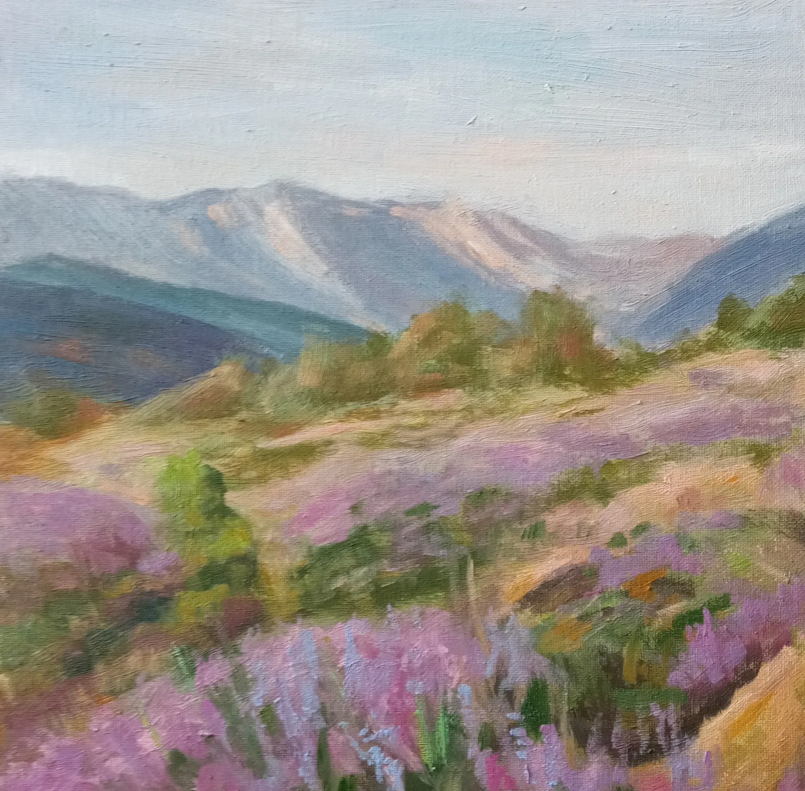 Картина «Дикая лаванда» — Лана Саулина, Пейзаж, аукцион Artstore