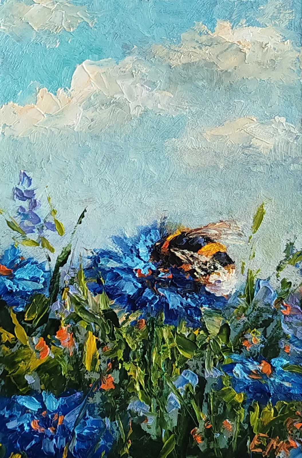 Васильки