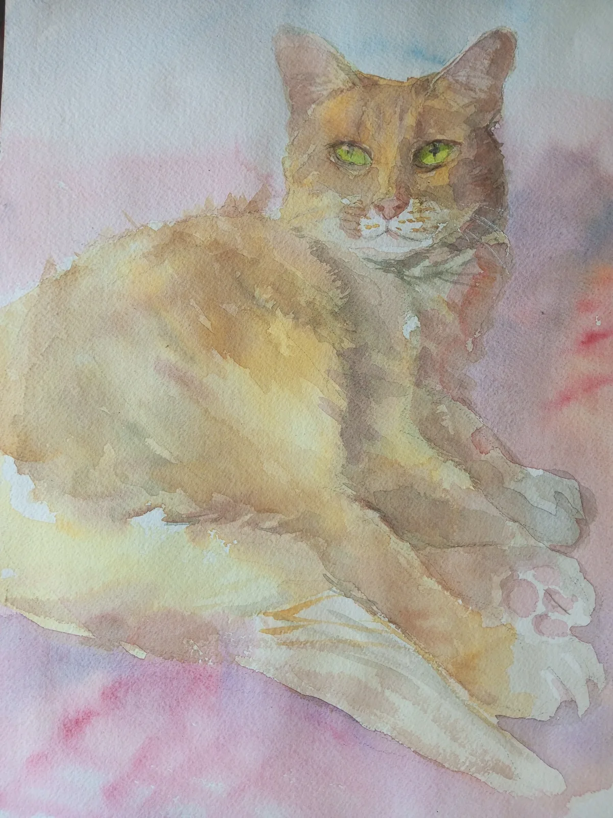 Картина «Рыжий кот» — Валентина Ситникова, Анималистика, аукцион Artstore