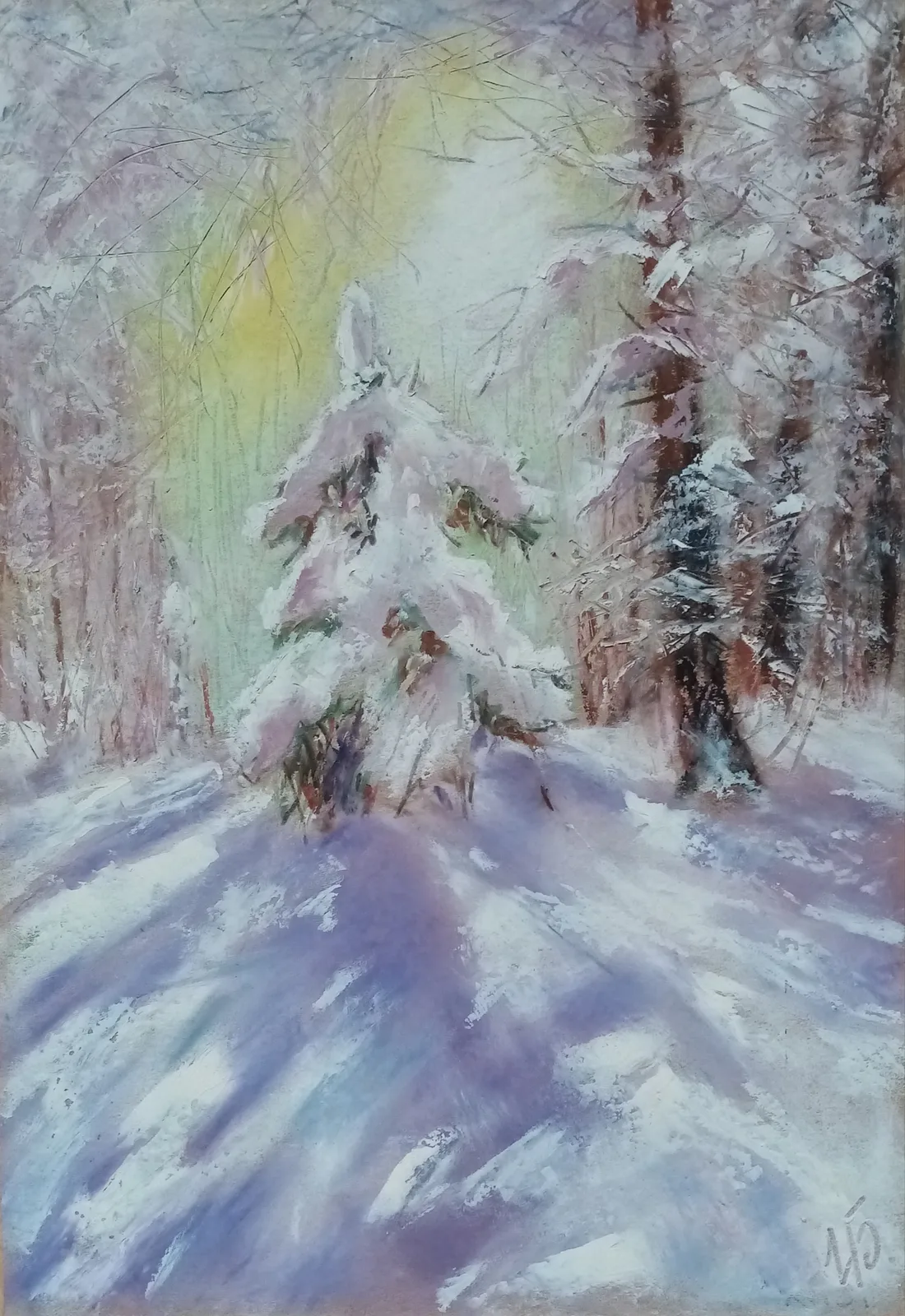 Зимнее утро в лесу.