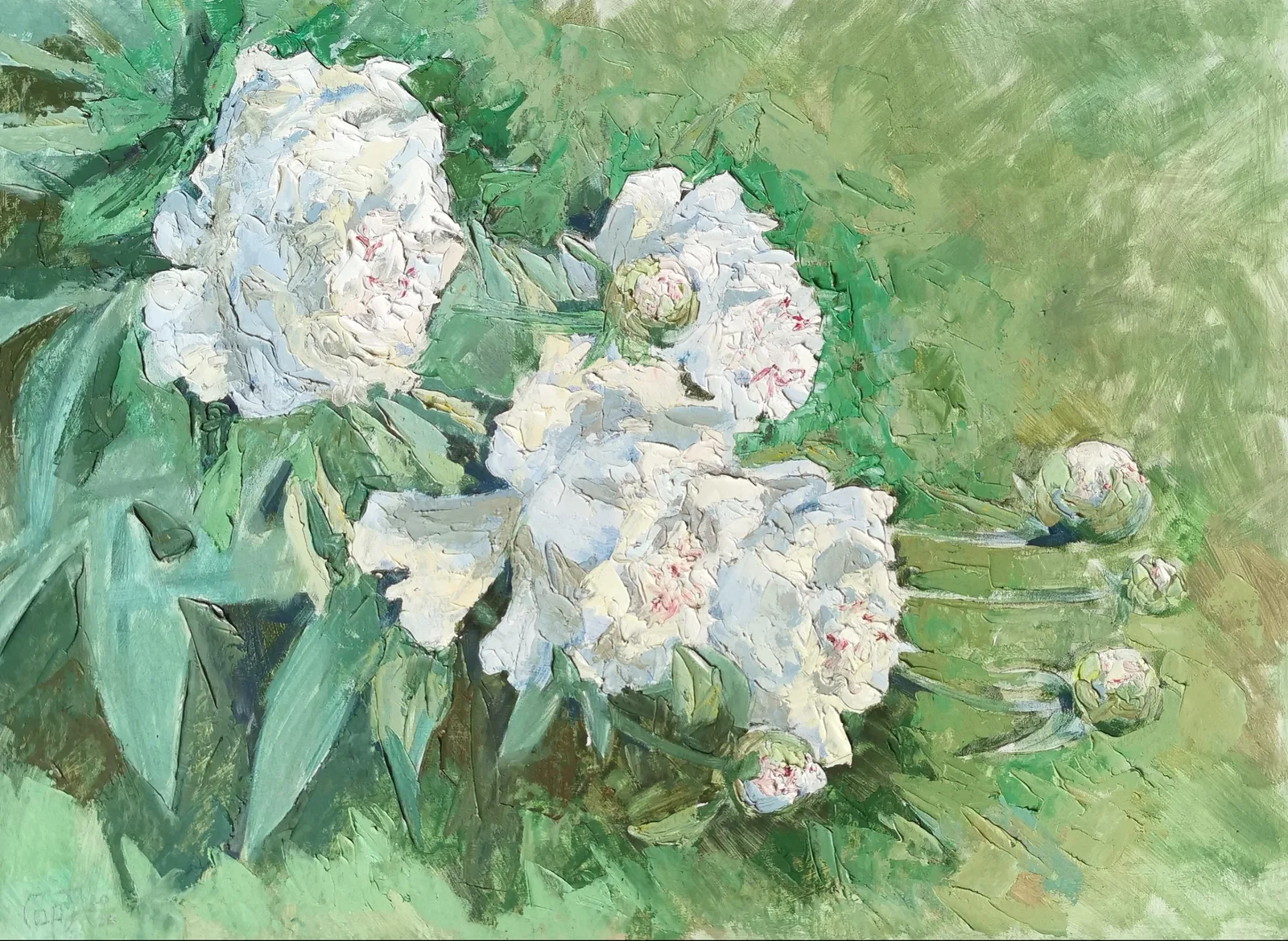 Картина «Белые пионы» — Анна Горенкова, Натюрморт, аукцион Artstore
