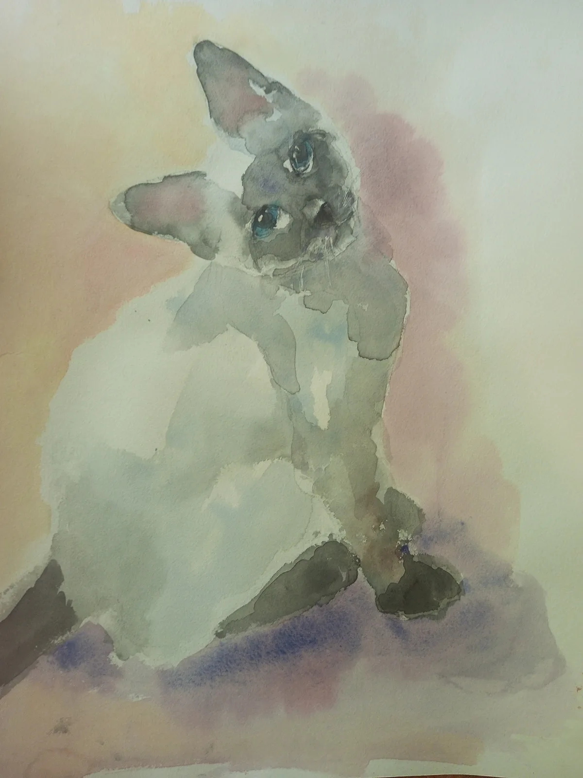 Картина «Тайская кошка» — Валентина Ситникова, Анималистика, аукцион Artstore