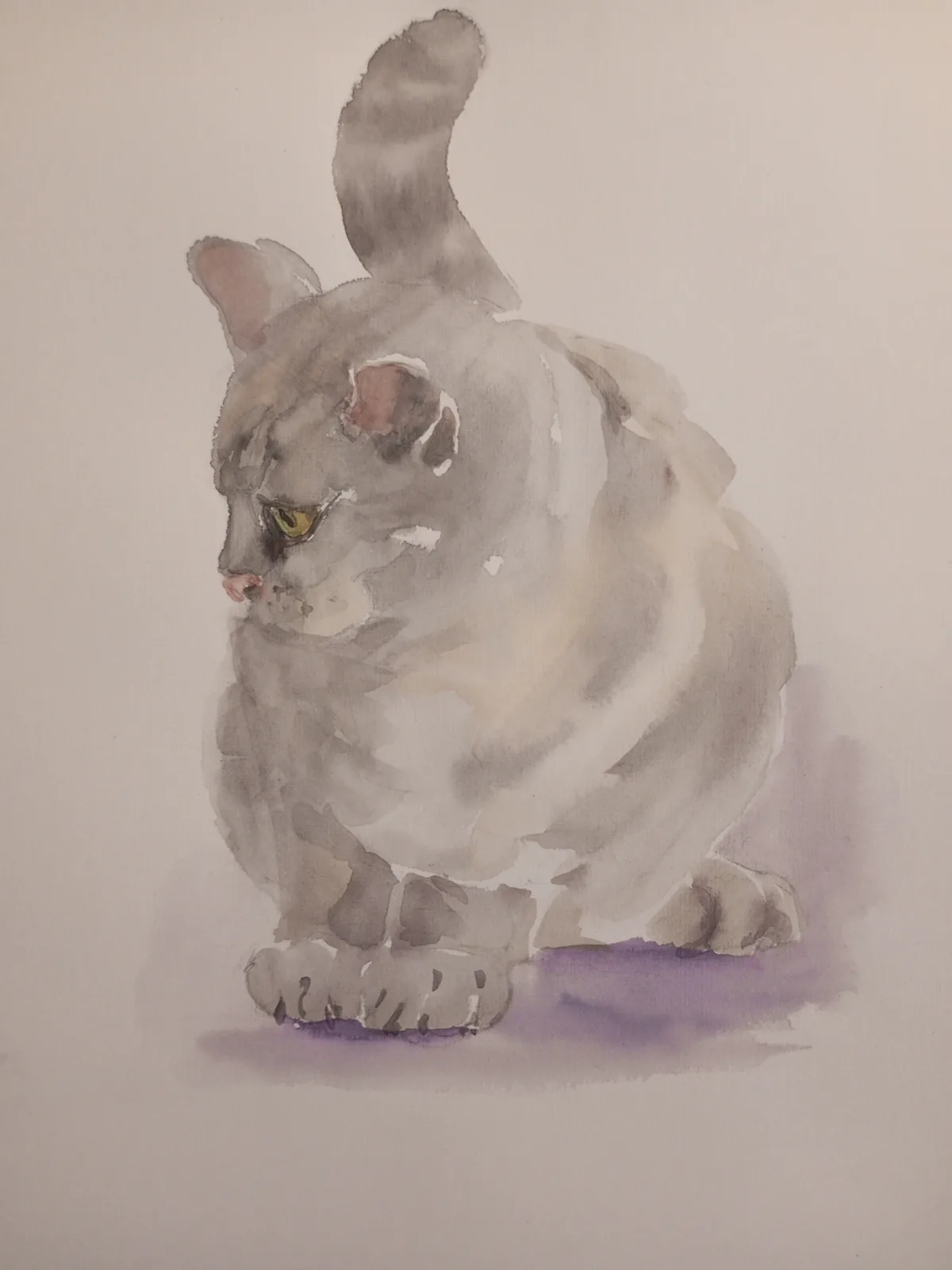 Картина «Кот» — Валентина Ситникова, Анималистика, аукцион Artstore