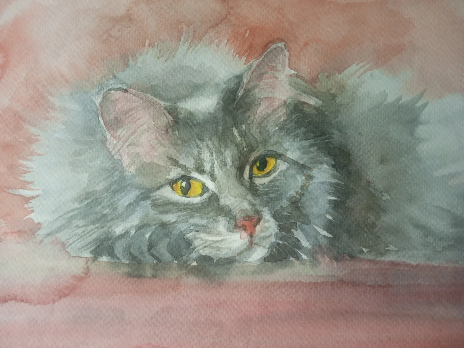 Картина «Лежащий кот» — Валентина Ситникова, Анималистика, аукцион Artstore