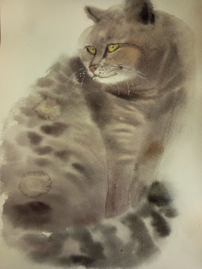 Картина «Портрет кота» — Валентина Ситникова, Анималистика, аукцион Artstore
