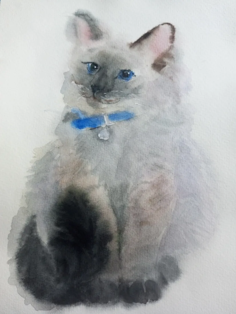 Картина «Сиамская кошка» — Валентина Ситникова, Анималистика, аукцион Artstore