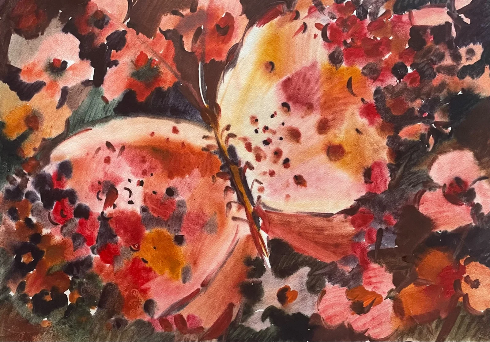 Бабочка роскошная