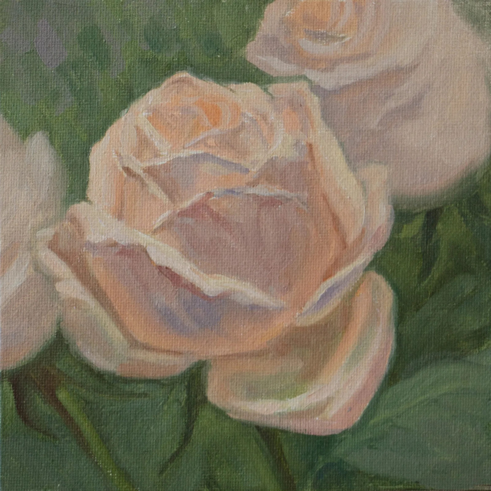 Картина «"Нежная роза"» — Алена Пьяных, Натюрморт, аукцион Artstore