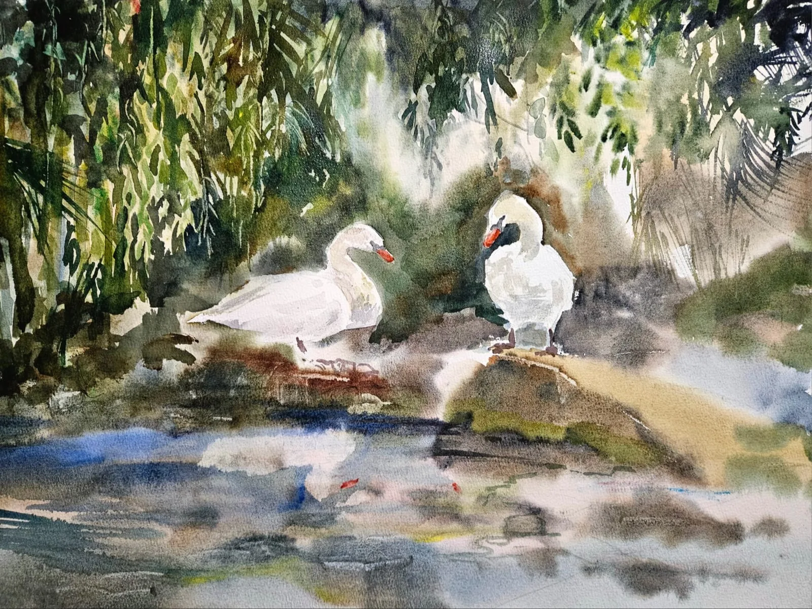 Картина «Лебединая любовь» — Ксения Ползикова, Анималистика, аукцион Artstore