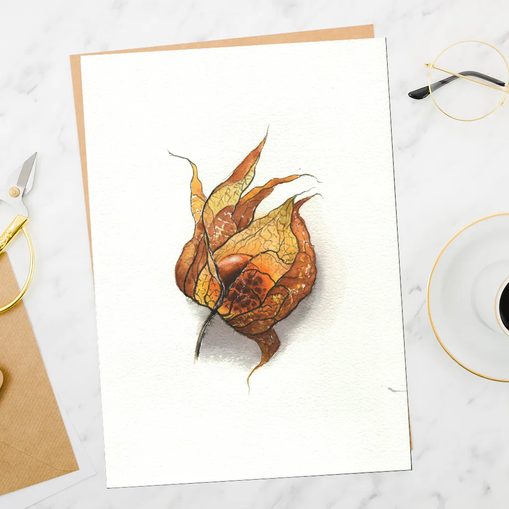 Бутон физалиса