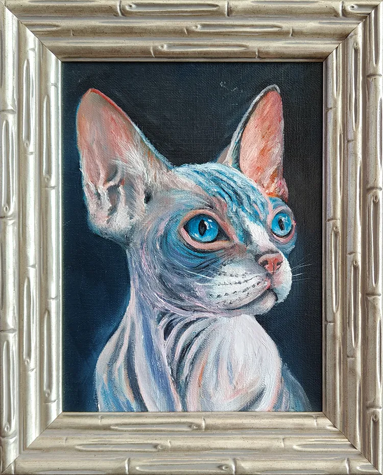 Канадский сфинкс