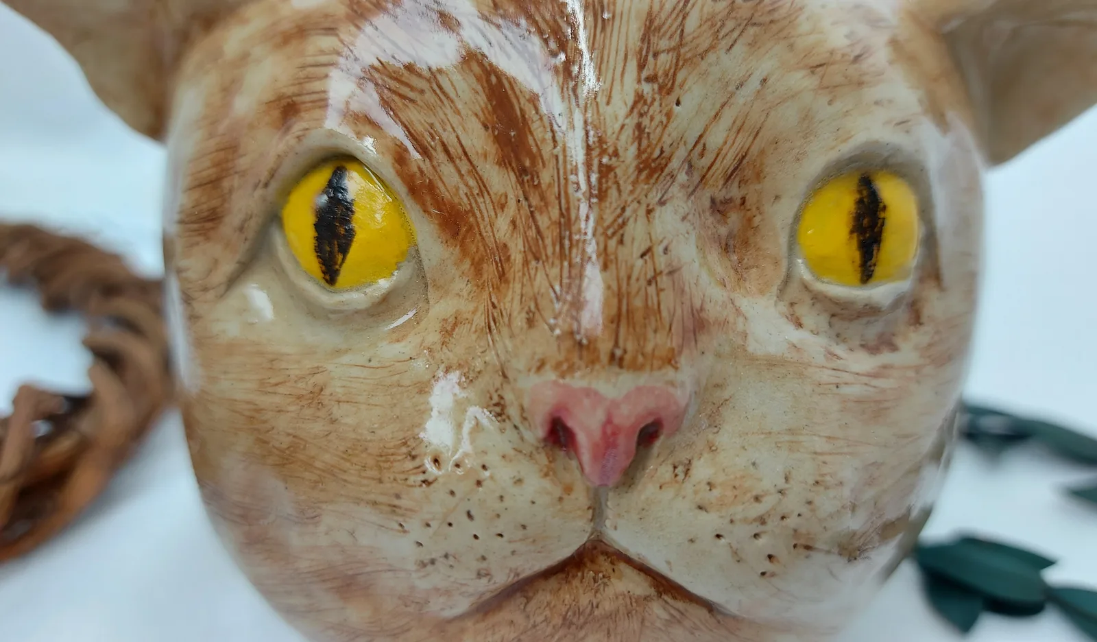 Удивленный котик