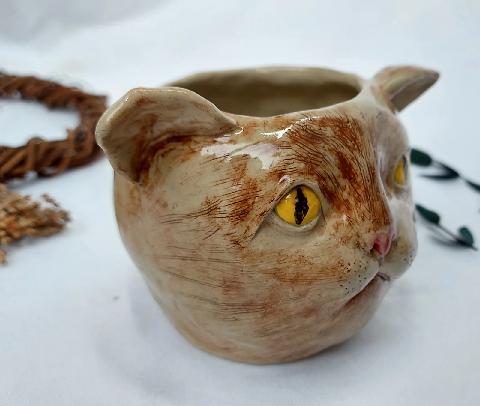 Удивленный котик