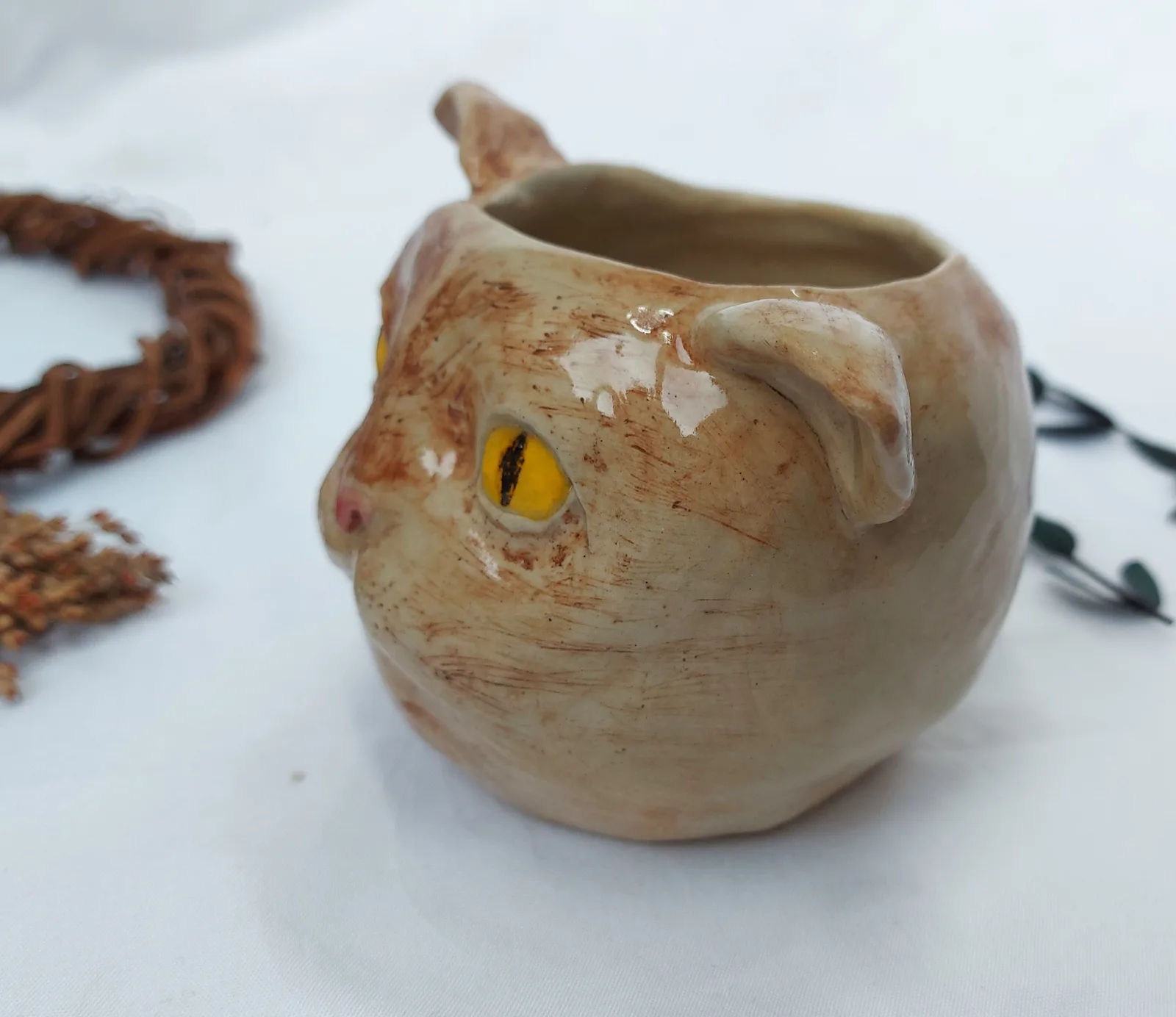 Удивленный котик