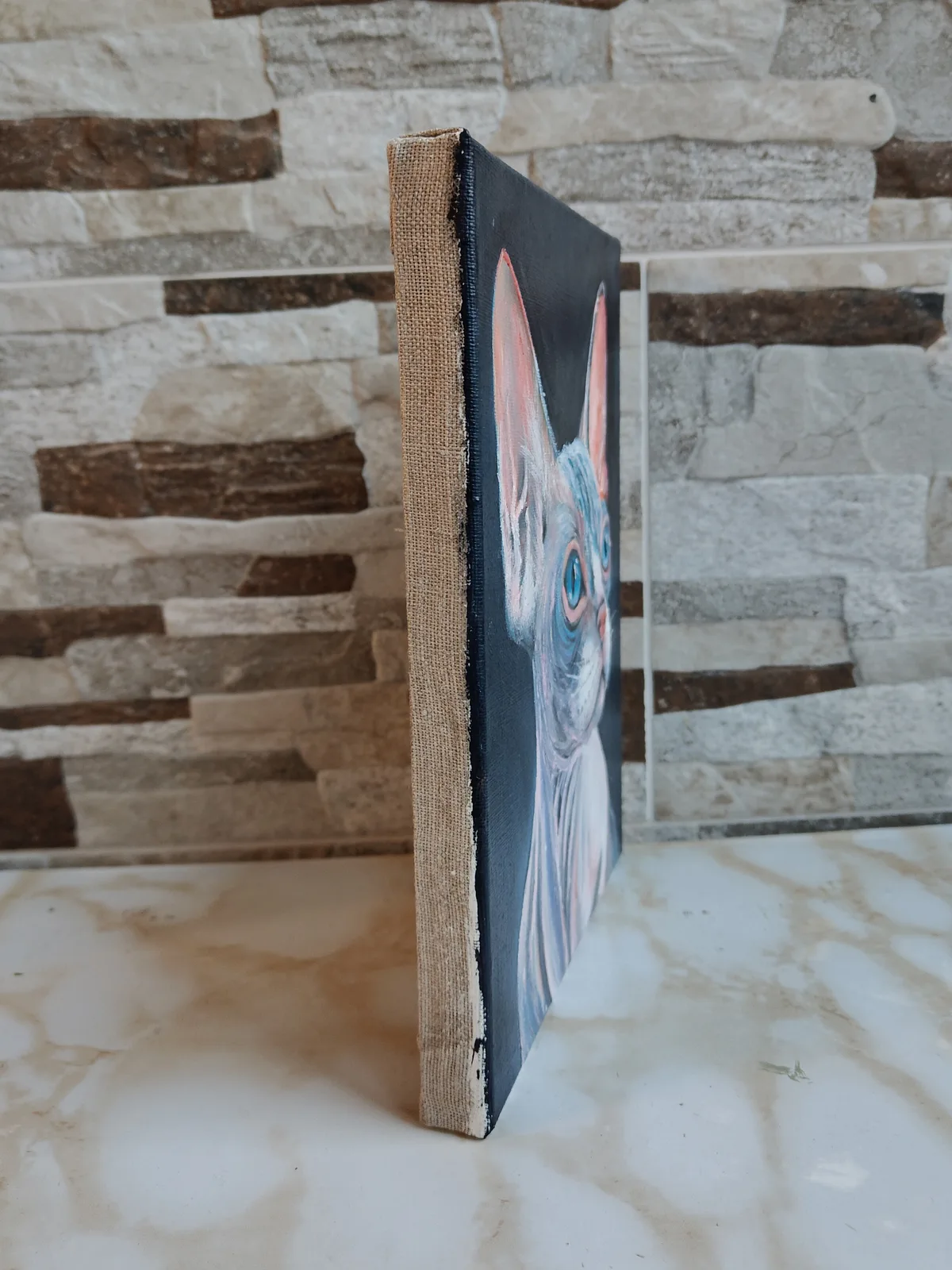 Канадский сфинкс